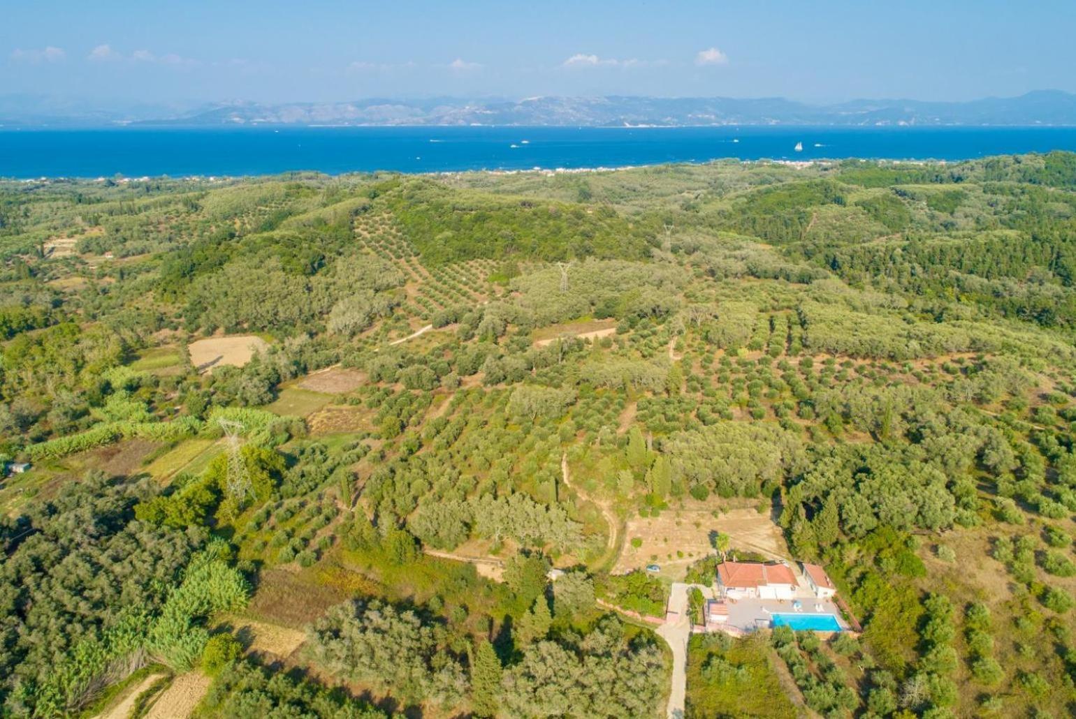 Villa Psaropouli Dragotiná Eksteriør bilde